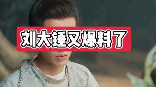 刘大锤最新爆料檀键次,檀键次背后的惊人真相