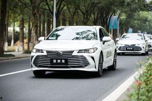 宁波亚洲龙最新爆料,尖端科技与时尚设计完美融合